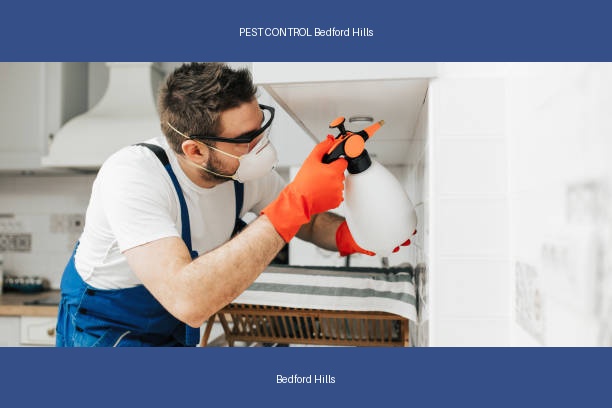 PEST CONTROL Bedford Hills